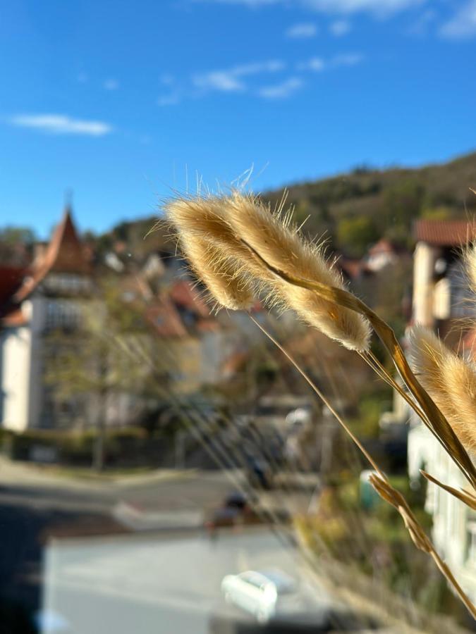 Turm.Blick Lejlighed Goslar Eksteriør billede